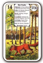 Karmische Legung: 14