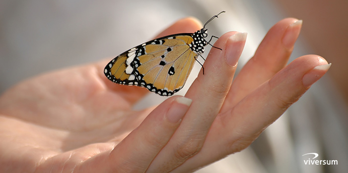 Hochsensible Menschen