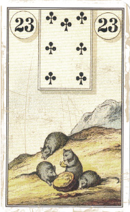 Lenormand: 23